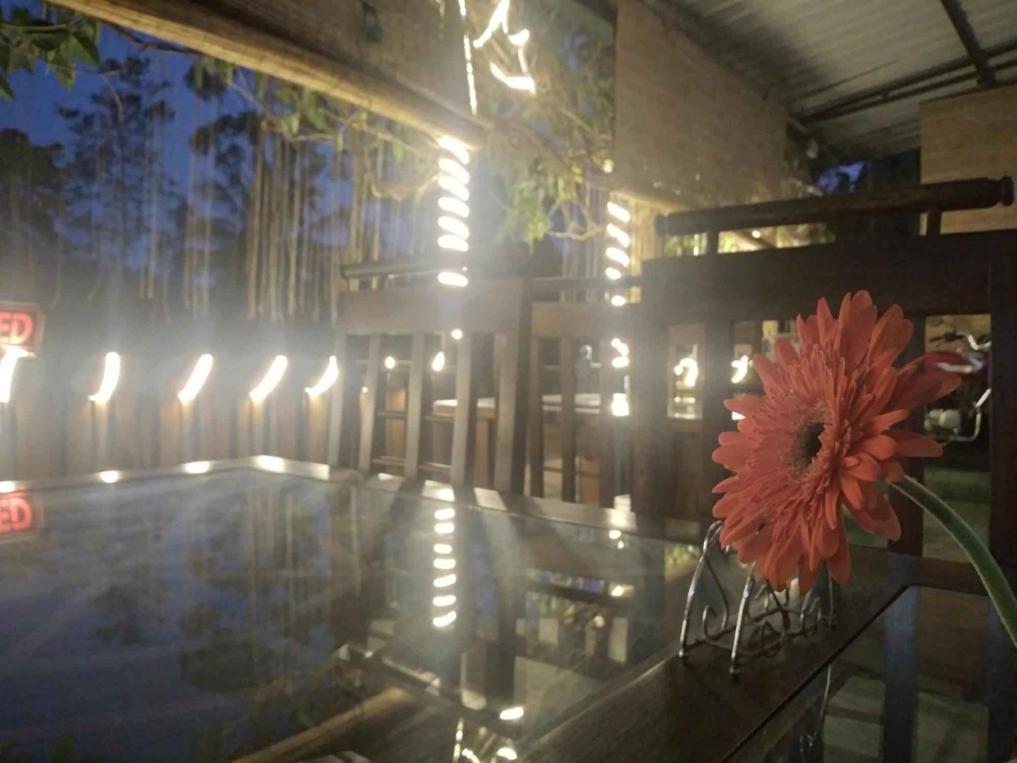Ella Nature Life Guest & Restaurant -Free Pickup From Ела Екстериор снимка